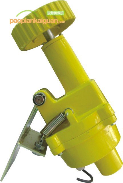 XT-SS-1D打滑速度開關產(chǎn)品圖片